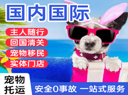 右旗巴丹吉林空运代理国际宠物托运 【国